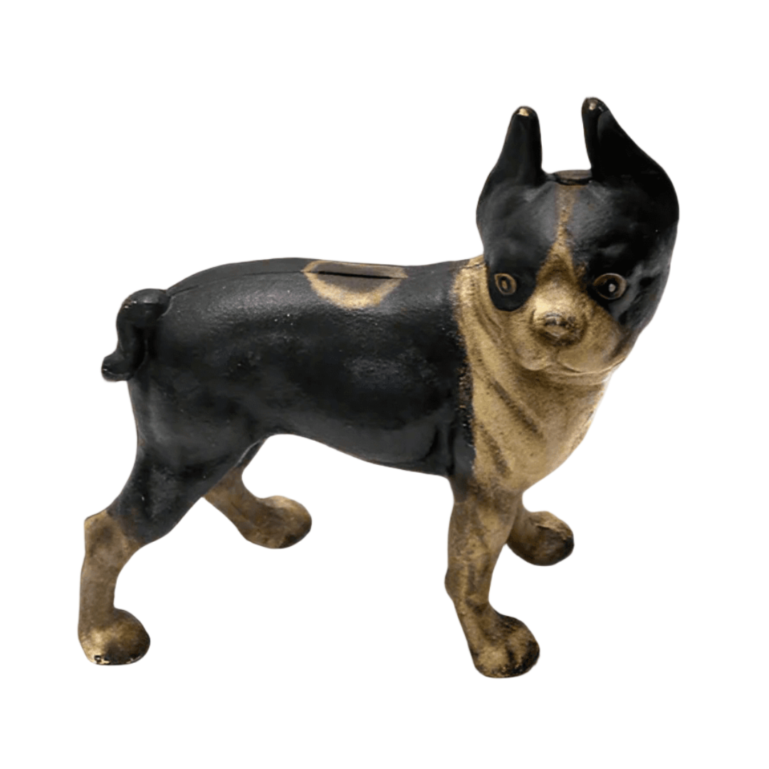 Boston Terrier Cast Iron Coin Bank With Painted Antique Finish (10" x 8") - Jones Peak