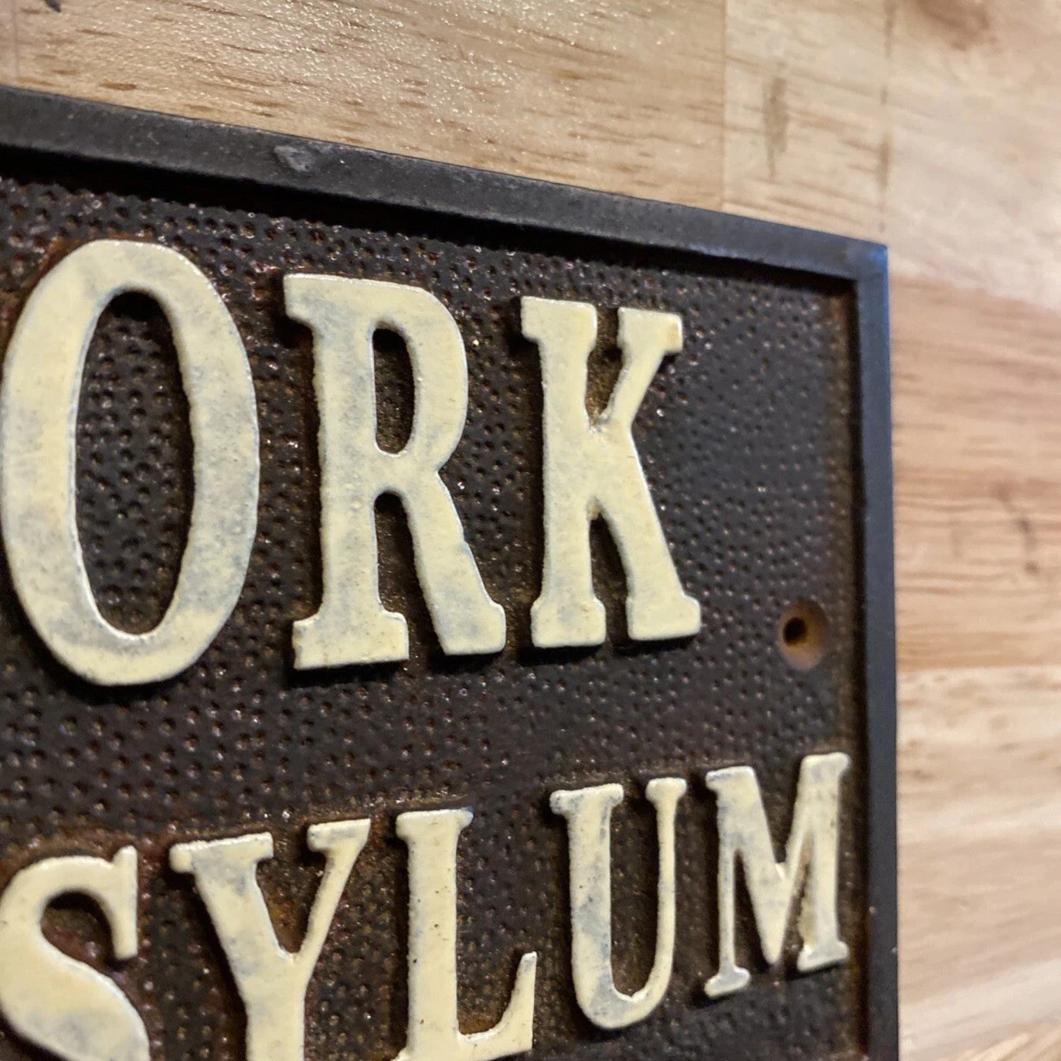 Jones Peak New York Insane Asylum cast iron plaque with raised cream lettering and antique patina finish.