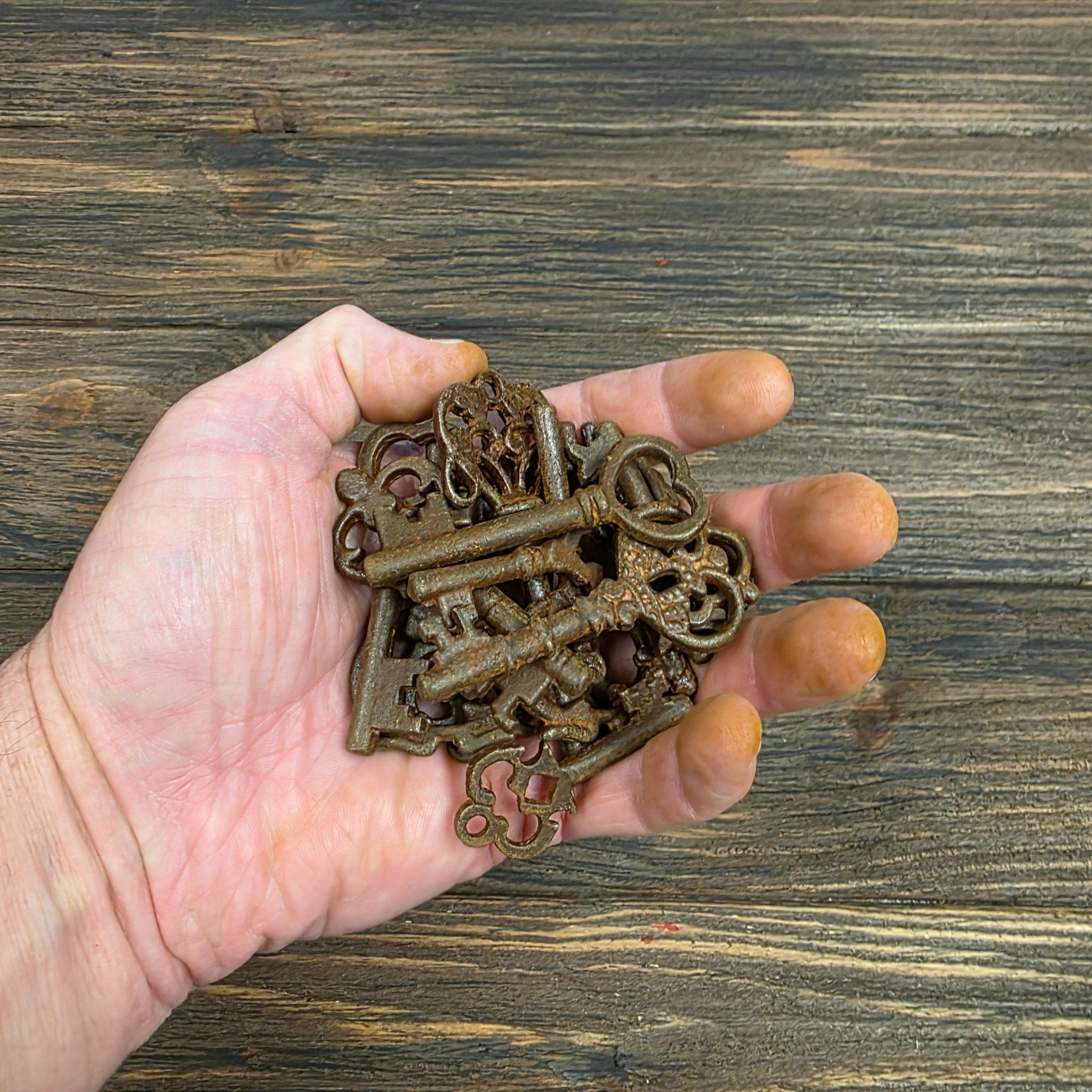 19th - Century Cast Iron Skeleton Keys (Lot of 25) - Jones Peak