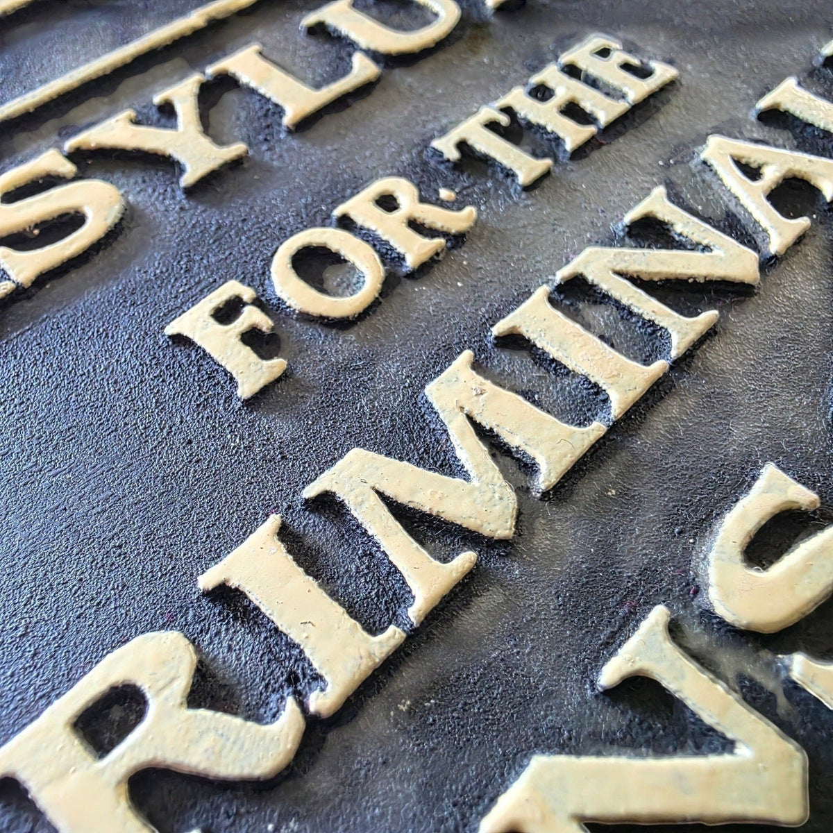 Asylum for the Criminally Insane Cast Iron Embossed Plaque — additional product view