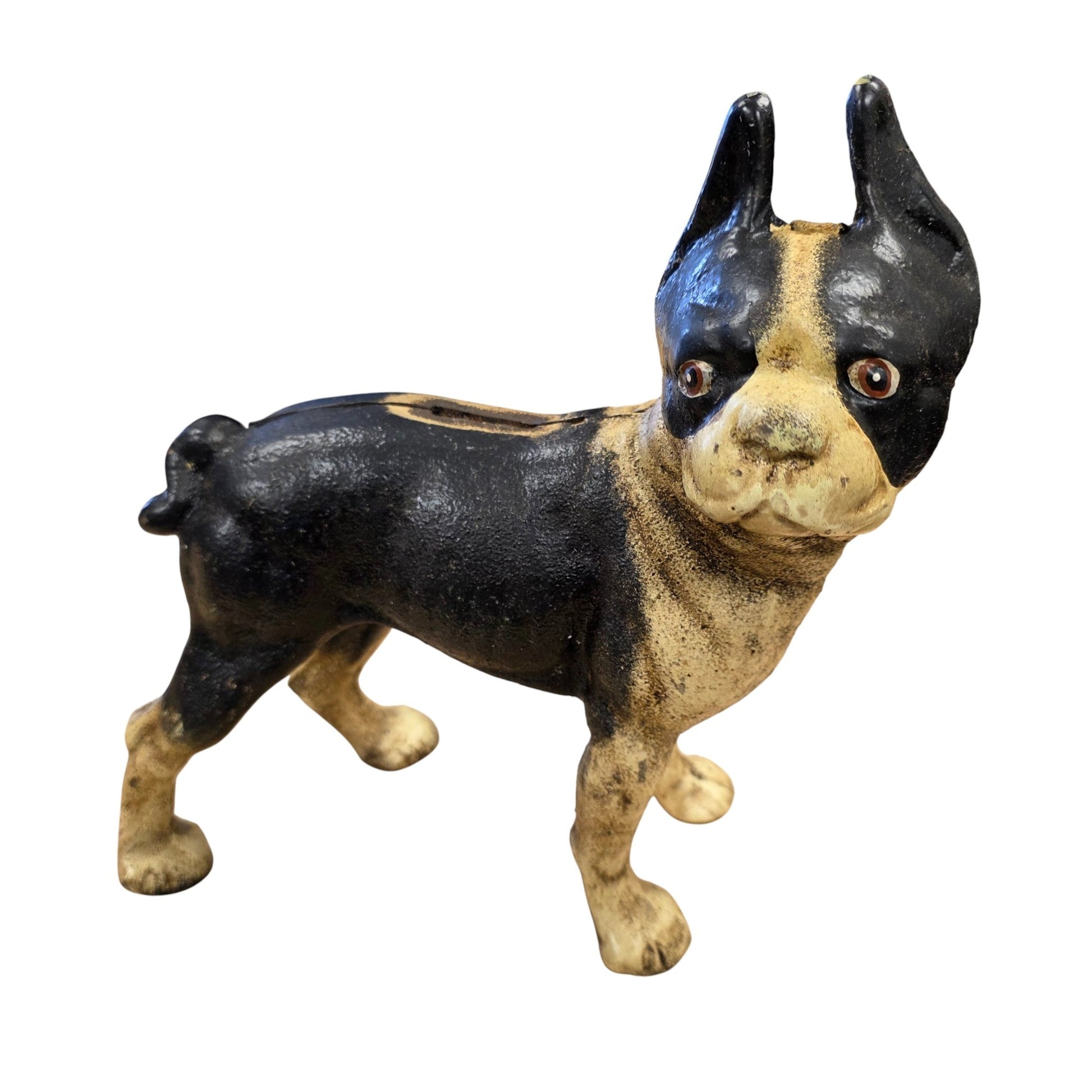 Boston Terrier Cast Iron Coin Bank With Painted Antique Finish (10" x 8") - Jones Peak