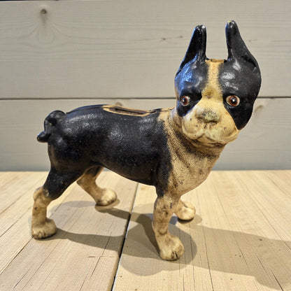 Boston Terrier Cast Iron Coin Bank With Painted Antique Finish (10" x 8") - Jones Peak