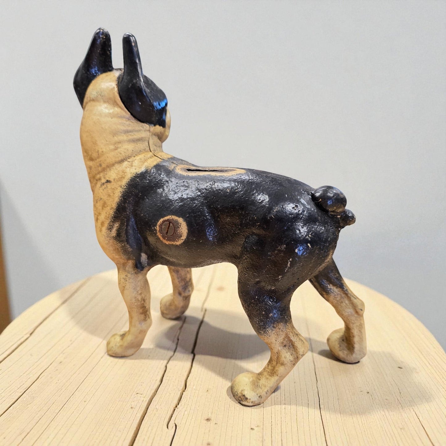 Boston Terrier Cast Iron Coin Bank With Painted Antique Finish (10" x 8") - Jones Peak