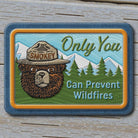 Smokey Bear Only You Can Prevent Wildfires Magnet (2.5" x 3.5") - Jones Peak