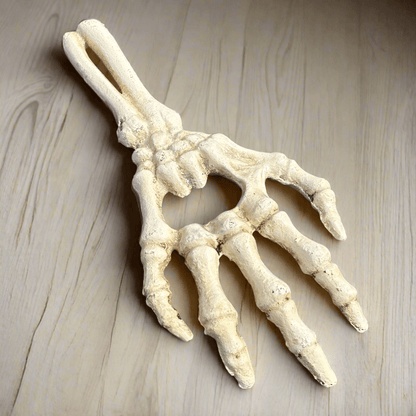 Skeleton Hand Cast Iron Bottle Opener With Antique Finish (6.5" Long) - Jones Peak
