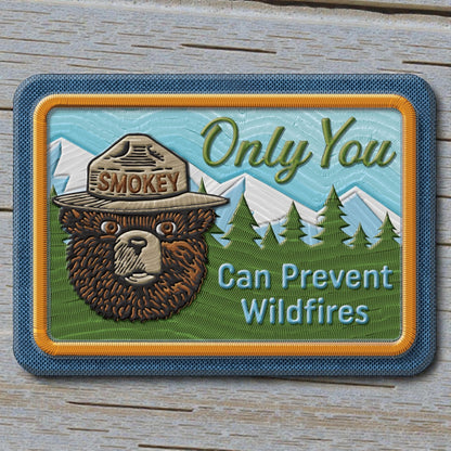 Smokey Bear Only You Can Prevent Wildfires Magnet (2.5" x 3.5") - Jones Peak
